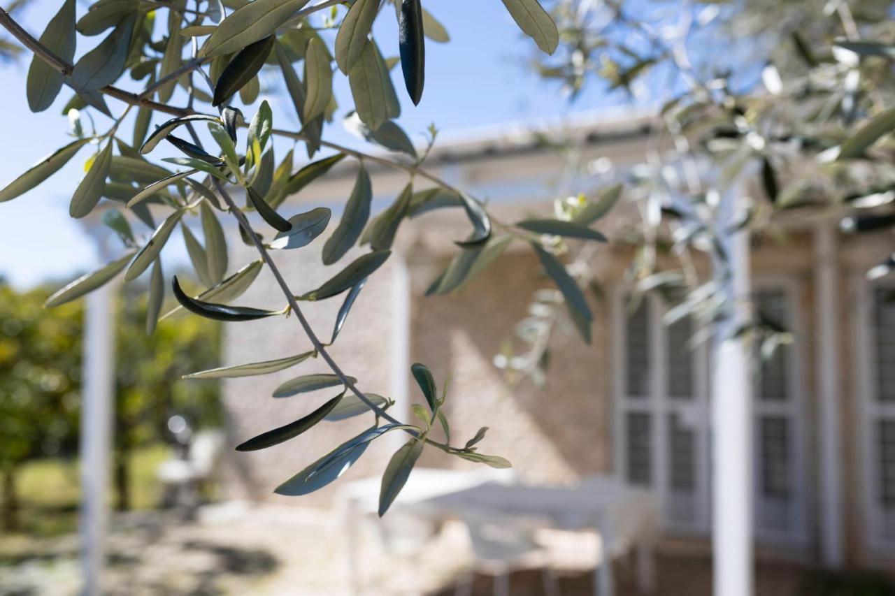 B&B Samarelle - Exclusive Villa With Garden And Panoramic Terrace - Мольфетта Экстерьер фото
